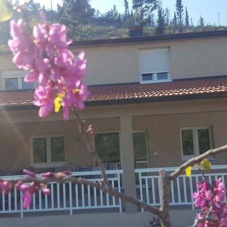 Apartment Marta Čapljina Екстериор снимка