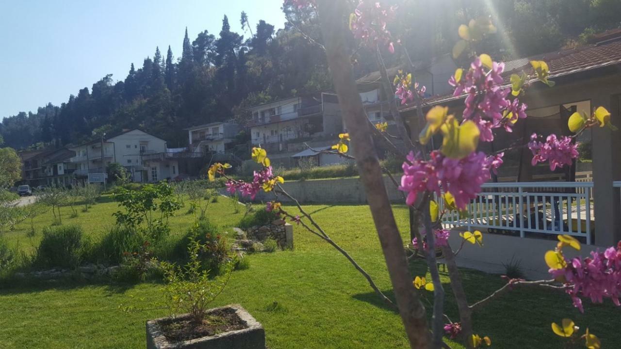 Apartment Marta Čapljina Екстериор снимка