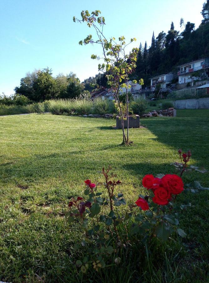 Apartment Marta Čapljina Екстериор снимка